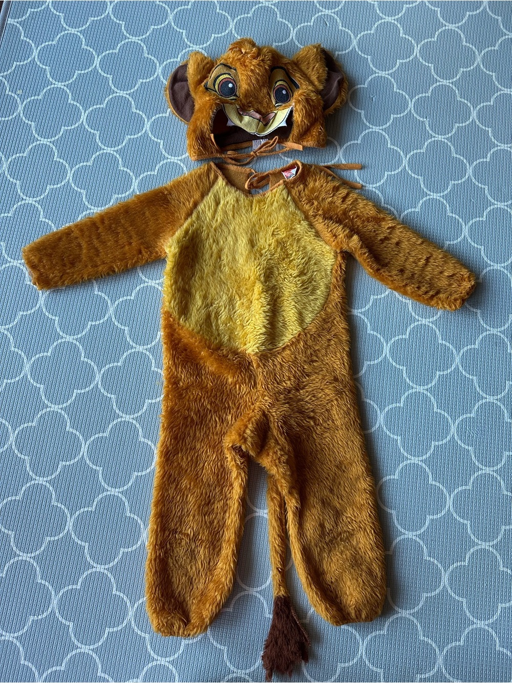 Vintage Lion King Toddler Halloween Costume